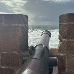 FDB11089-ECE9-4CDA-AC5F-CBFF64169FAC