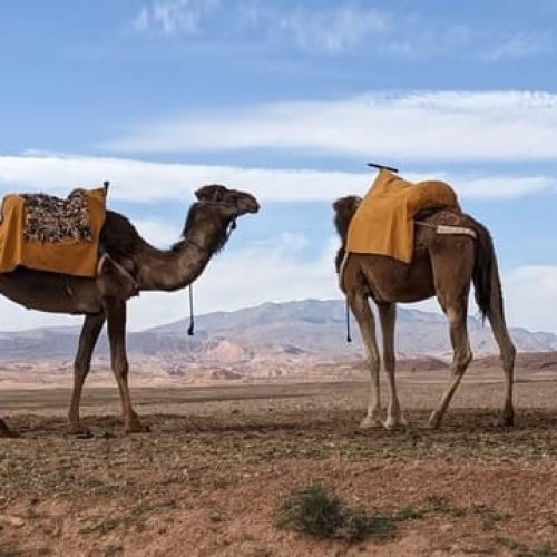 imgi_66_bd227a_7221f875c08a4929b9b276ac68fee9dd~mv2