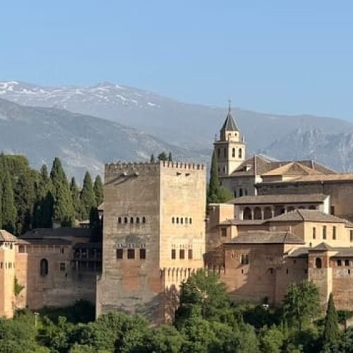 imgi_80_bd227a_730be8593fe9473bb15d6a9431ac0421~mv2