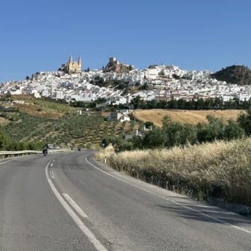 imgi_88_bd227a_19456315905c48c6b63115b69583379b~mv2