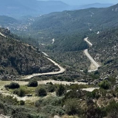 imgi_93_bd227a_6aad10da6dd54e8f95958c974976a5b0~mv2