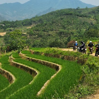 signal-2024-04-18-17-30-34-838